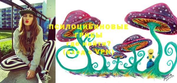 ПСИЛОЦИБИНОВЫЕ ГРИБЫ Армянск