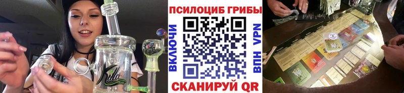 Галлюциногенные грибы Psilocybe  Купить где  Щигры 