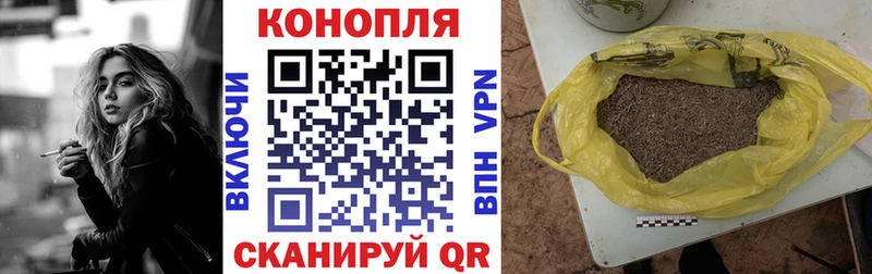 Купить закладки  Щигры  Бошки Шишки семена 